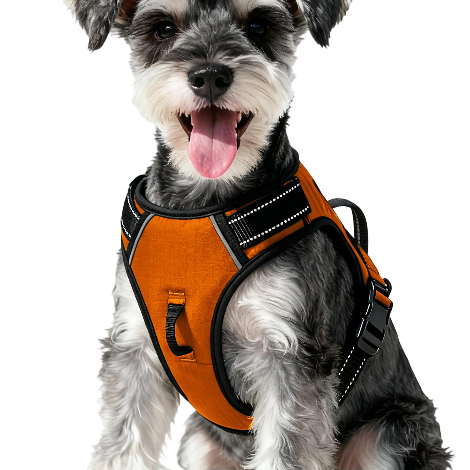 No-Pull Dog Harness — Orange