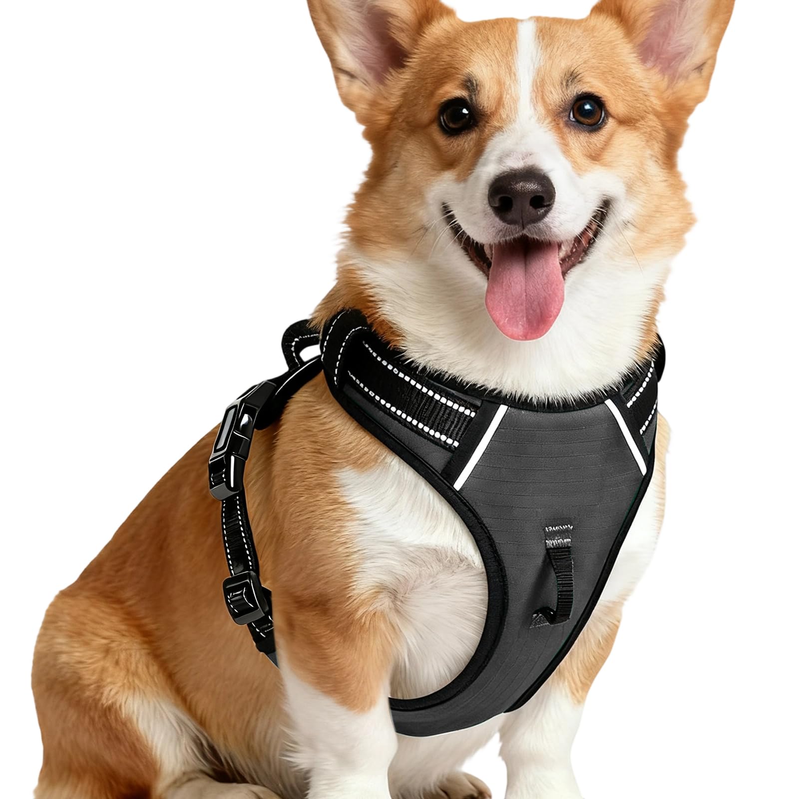 No-Pull Dog Harness — Gray