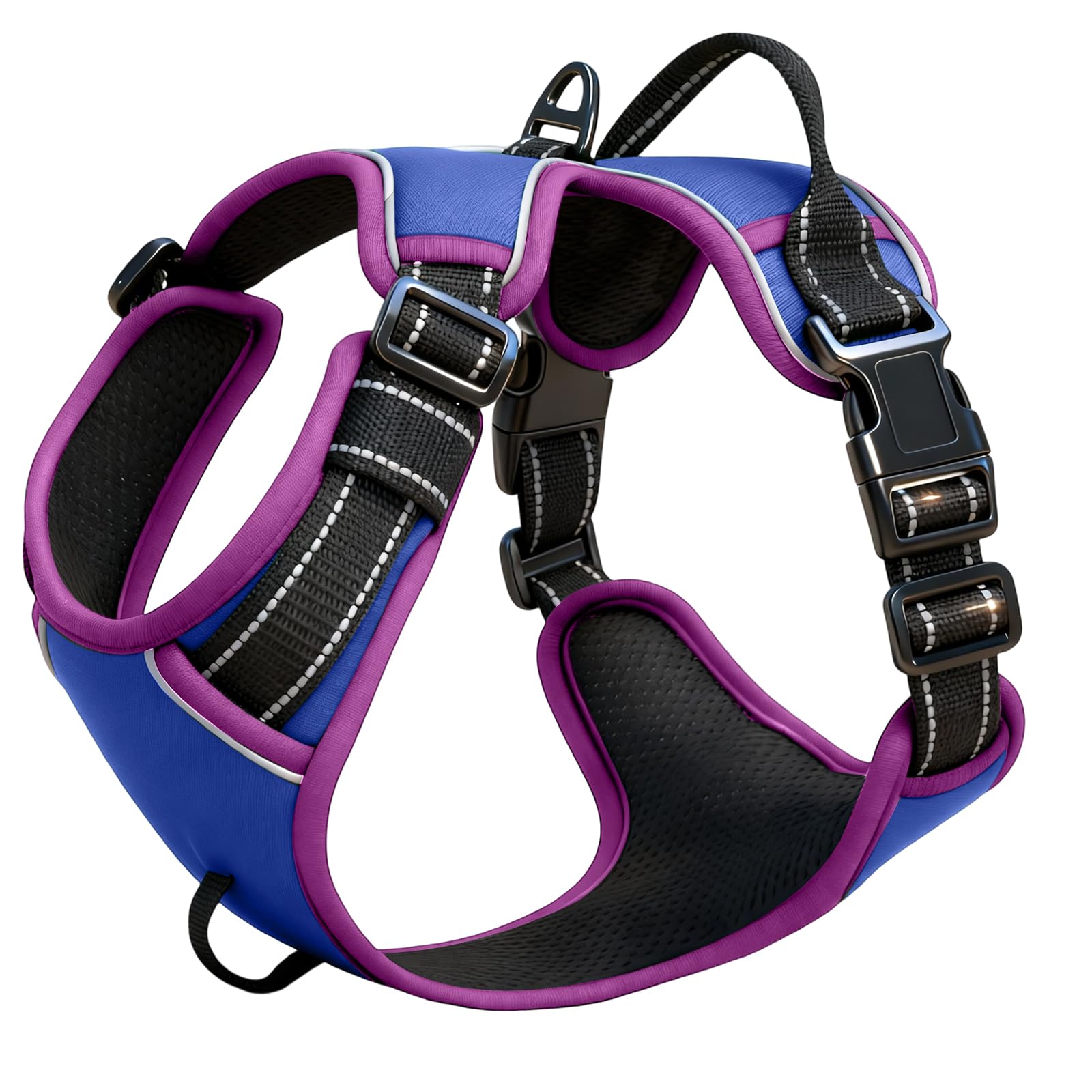Blue/Purple