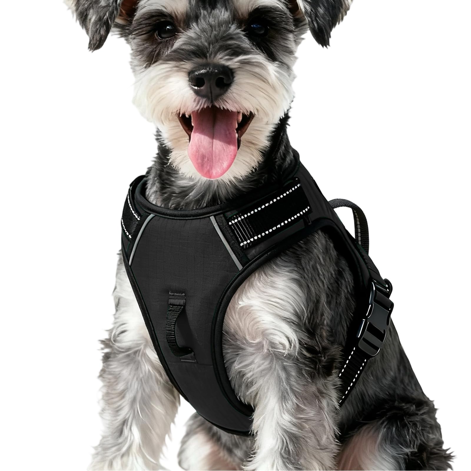 No-Pull Dog Harness — Black