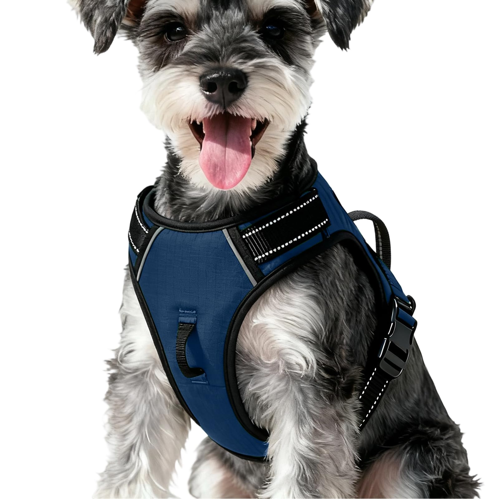 No-Pull Dog Harness — Royal Sapphire