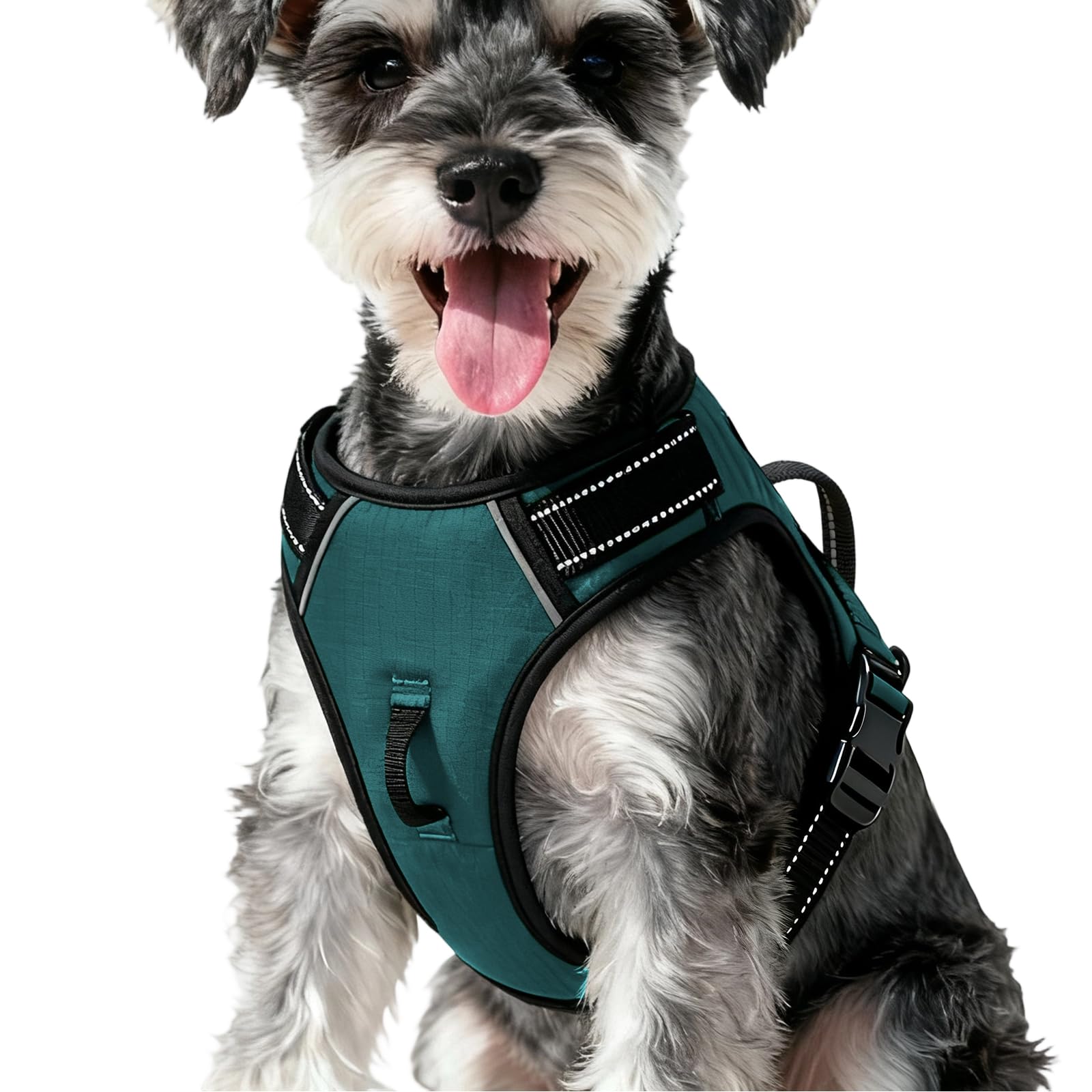 No-Pull Dog Harness — Glacial Teal