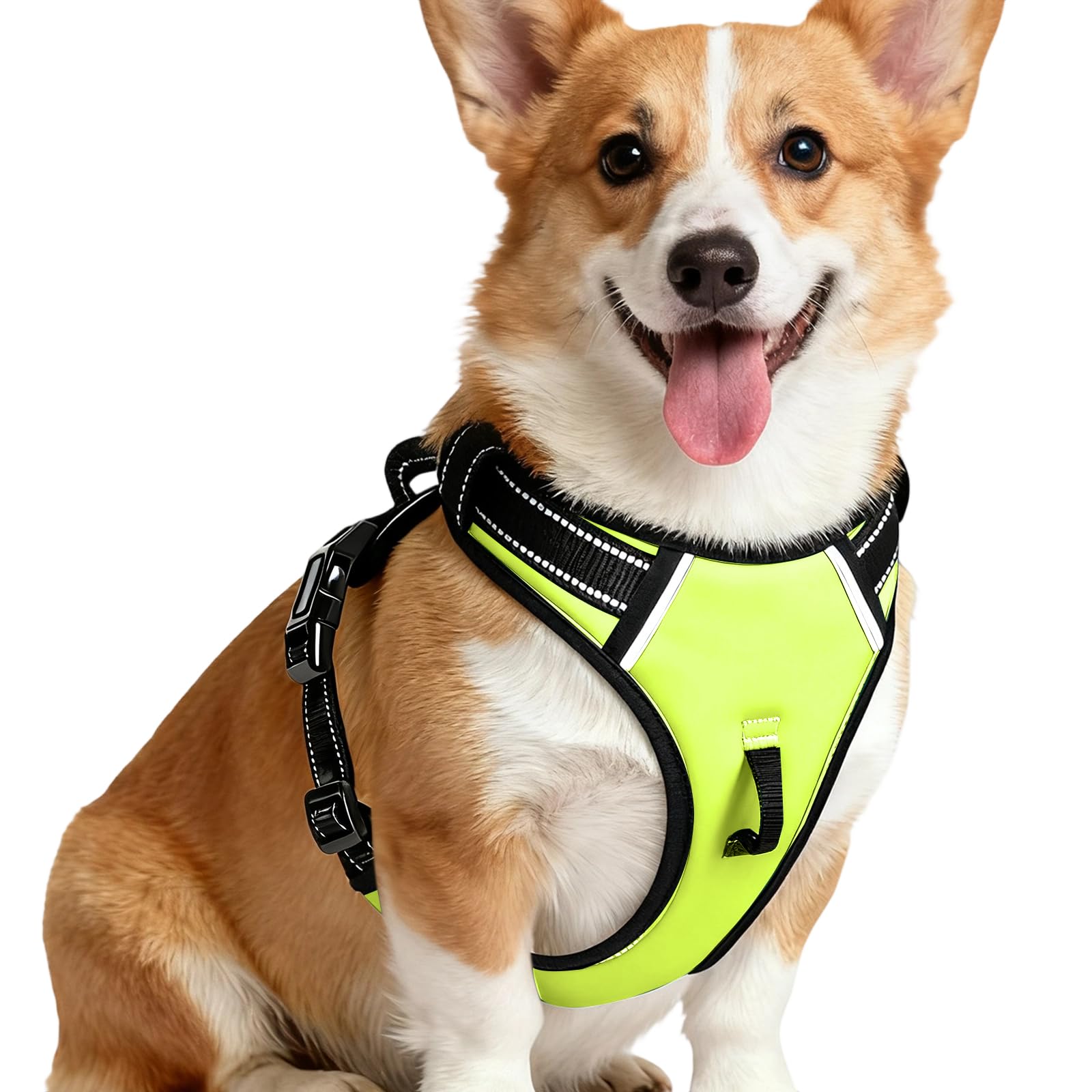 No-Pull Dog Harness — Velvet Green