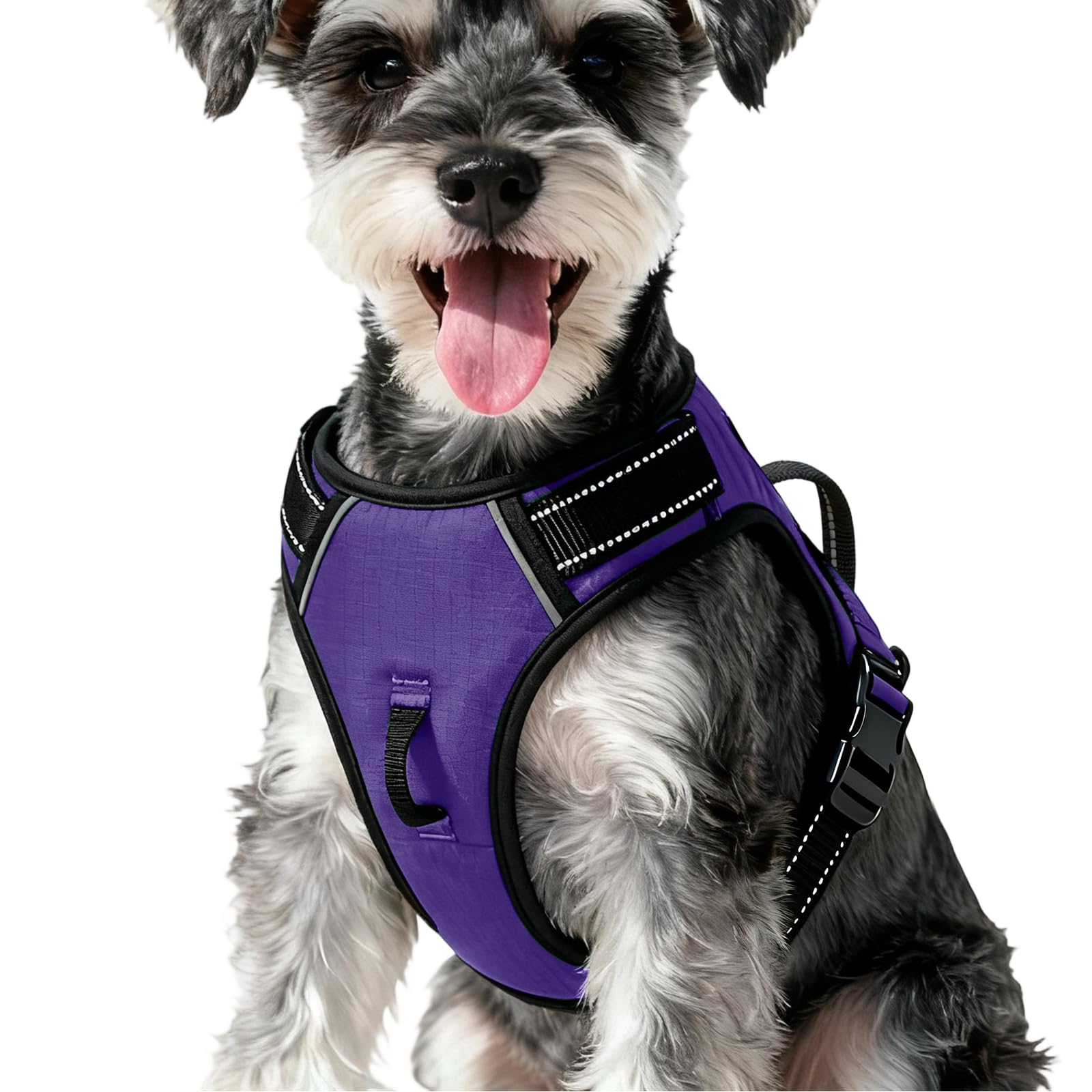 No-Pull Dog Harness — Purple