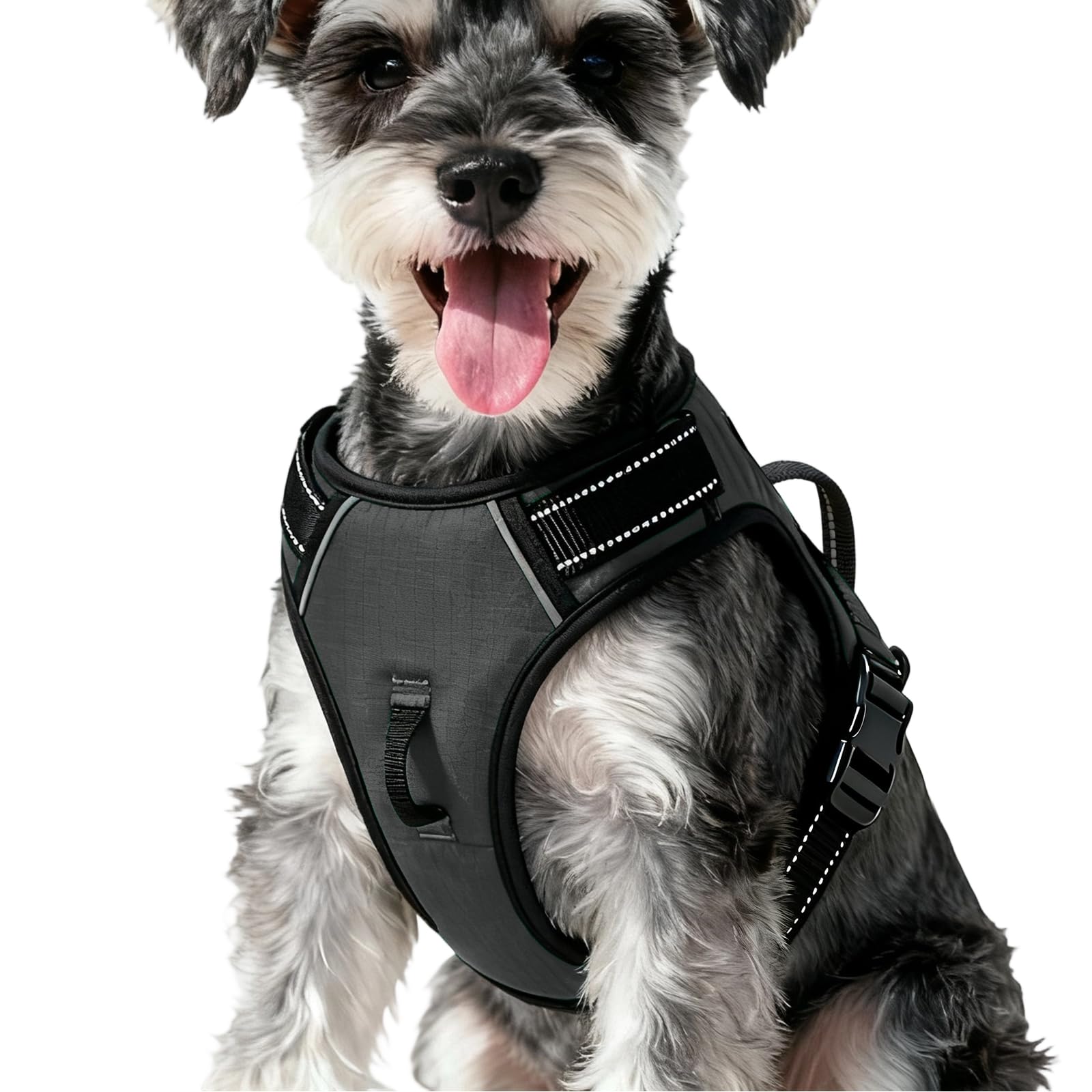 No-Pull Dog Harness — Pearl Platinum