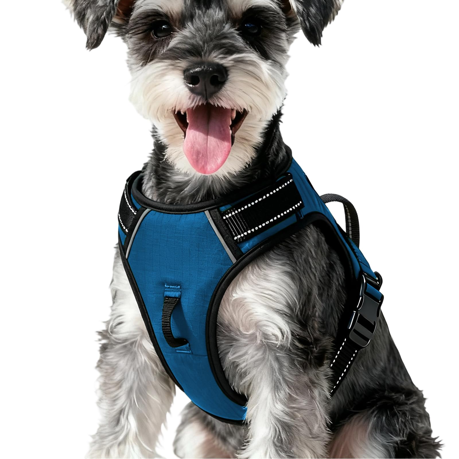 No-Pull Dog Harness — Blue