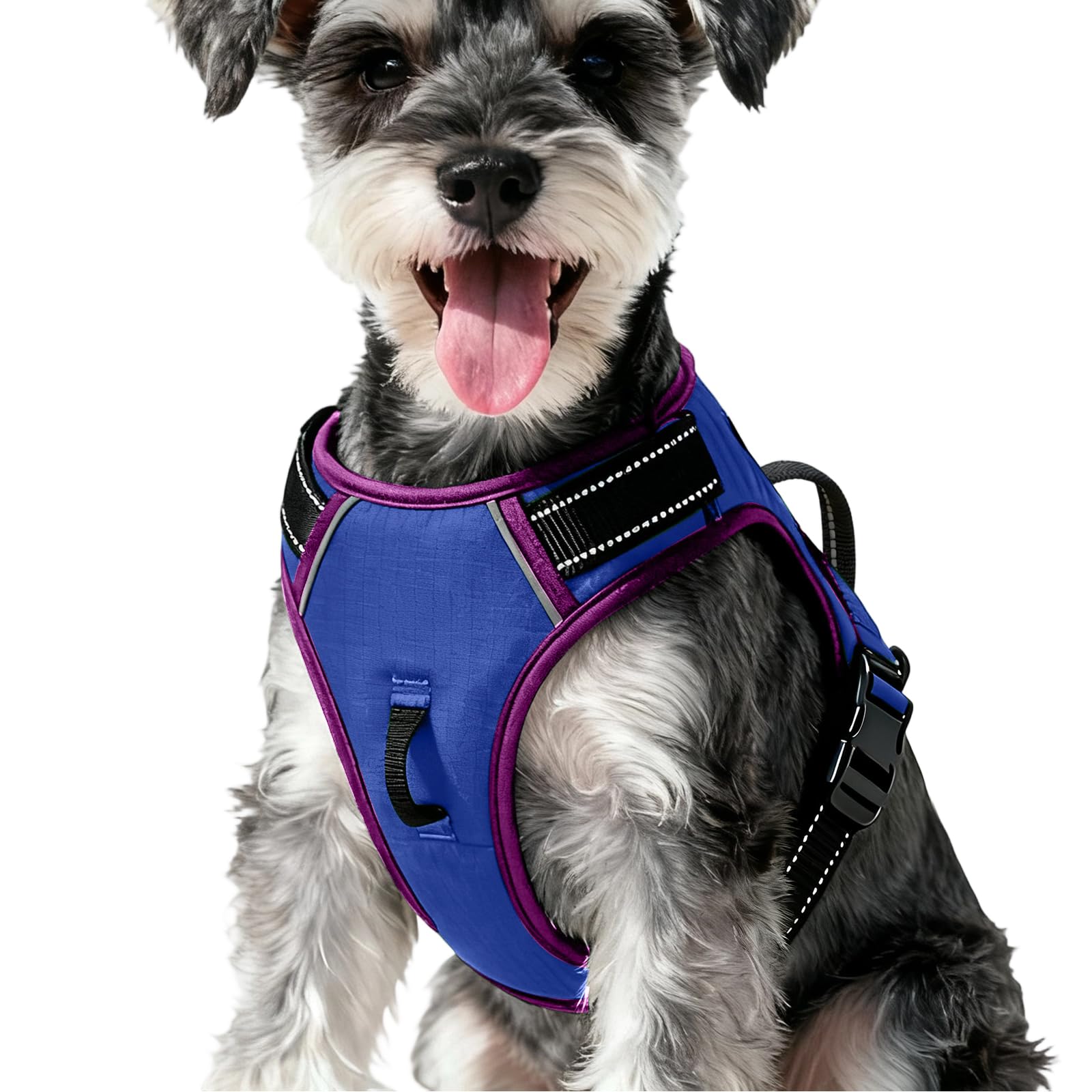 No-Pull Dog Harness — Blue